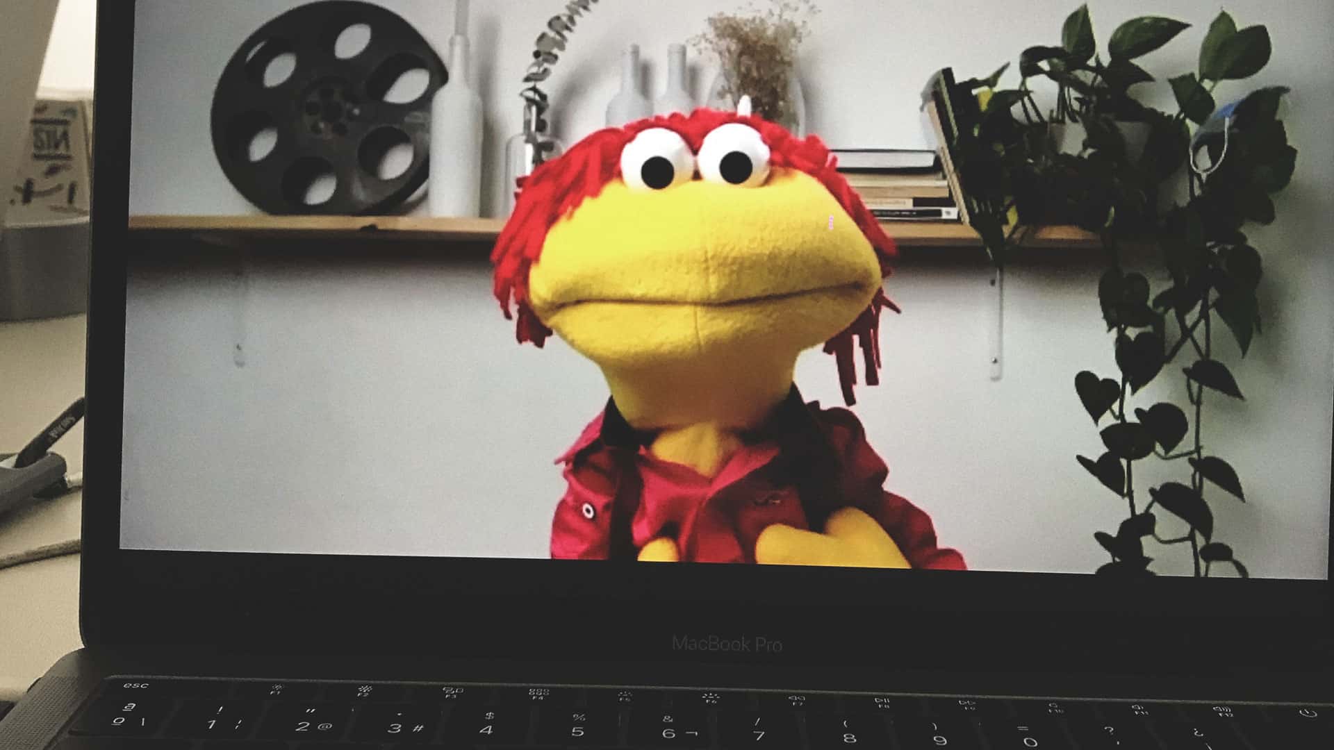 VIHVOZ - Ale puppet